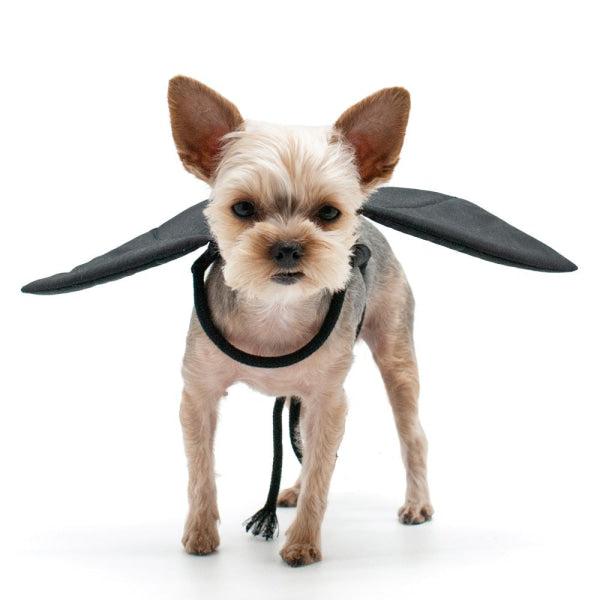 Bat Dog Wings