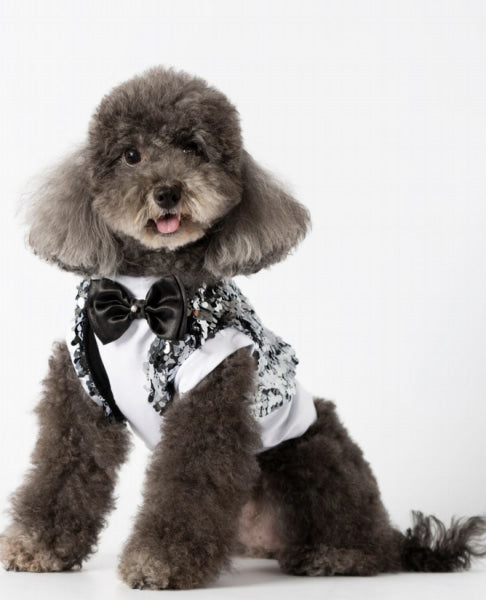 Dog Clothes - Pup & Co Boutique