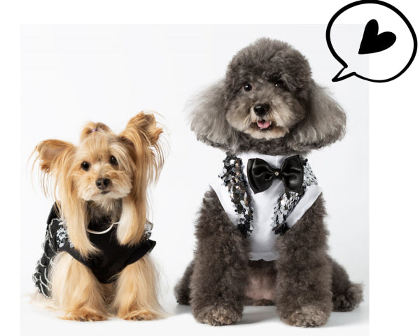 Dog Clothes - Pup & Co Boutique