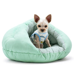 Burger dog bed best sale