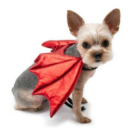 Dragon Dog Wings