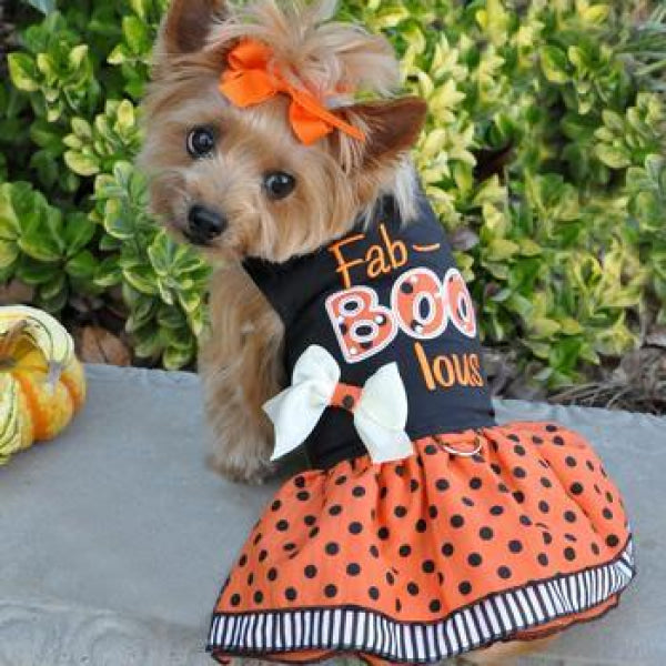 Fab-BOO-lous Dog Dress