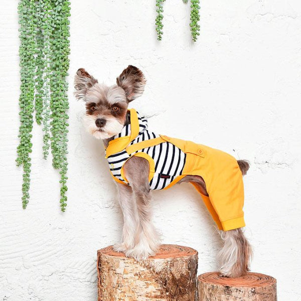 Dog Clothes - Pup & Co Boutique