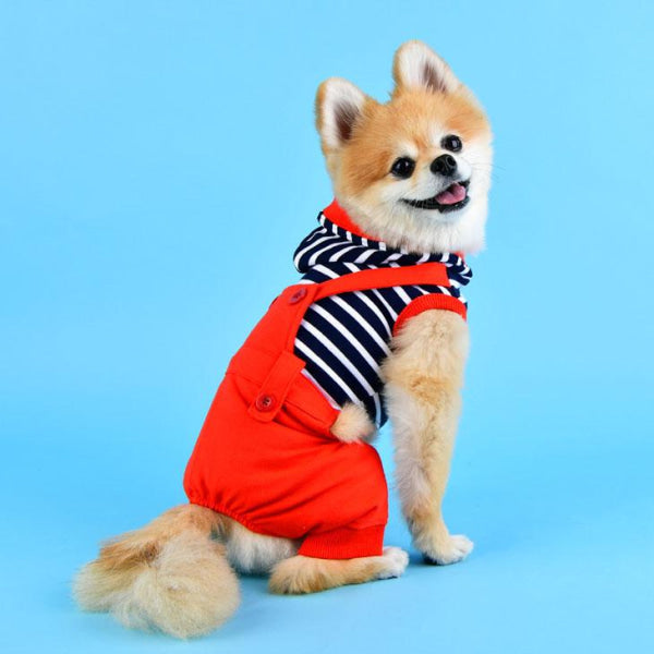 Dog Clothes - Pup & Co Boutique