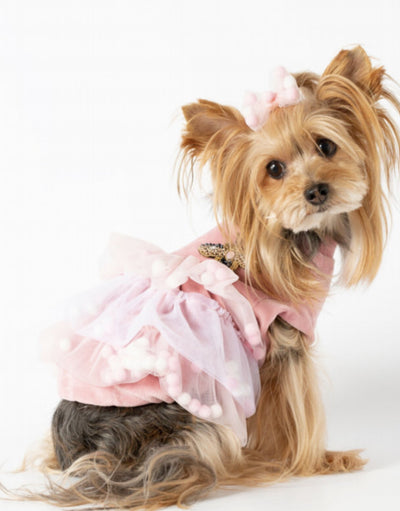 Flamingo dog dress best sale