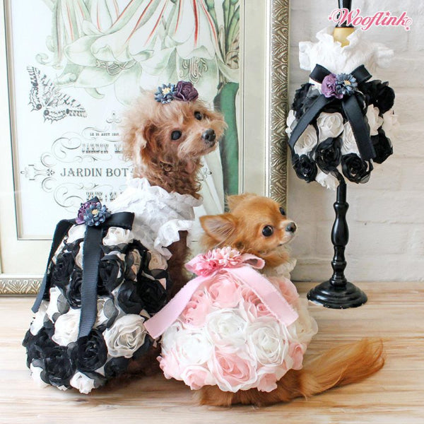 Dog Clothes - Pup & Co Boutique