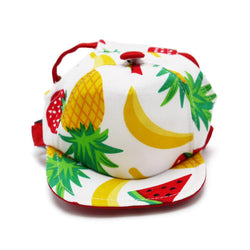 Fruitilicious Dog Hat