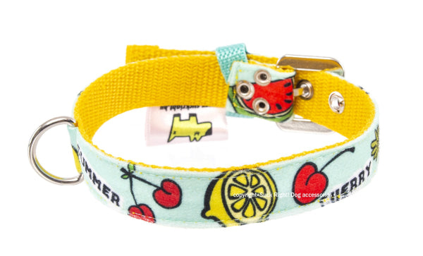 Fruits Dog Collar