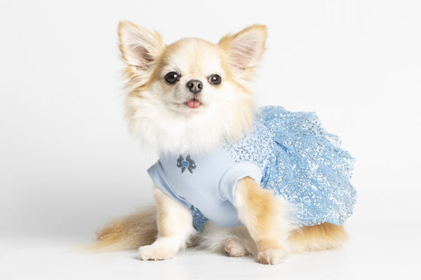 Dog Clothes - Pup & Co Boutique