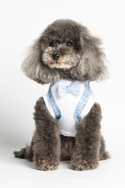 Dog Clothes - Pup & Co Boutique