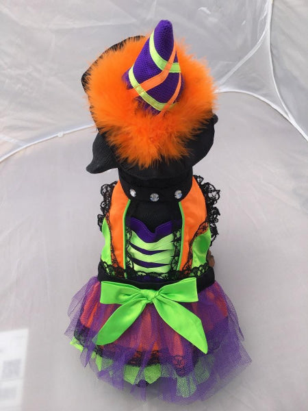 Halloween Neon Orange Witch Dog Costume