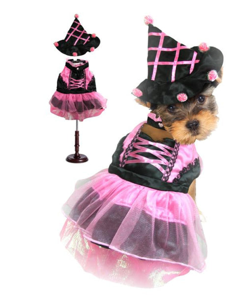 Dog Clothes - Pup & Co Boutique