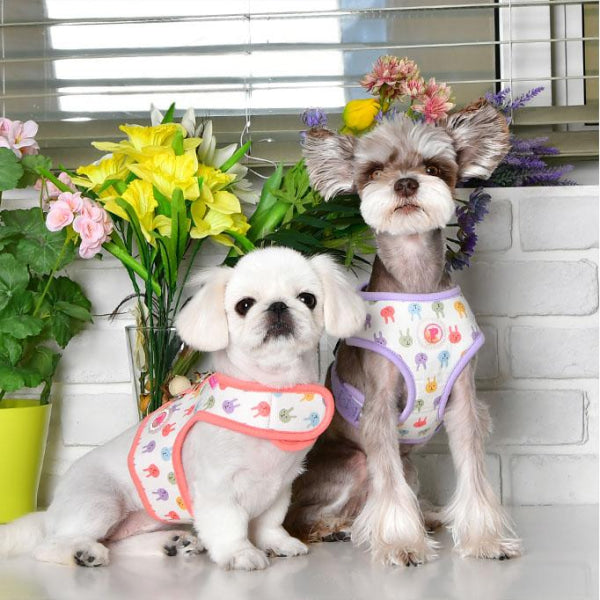 Dog Clothes - Pup & Co Boutique