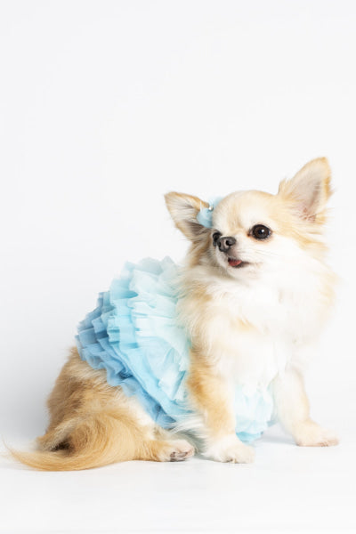 Dog Clothes - Pup & Co Boutique