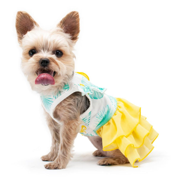 Leafy Dog Dress