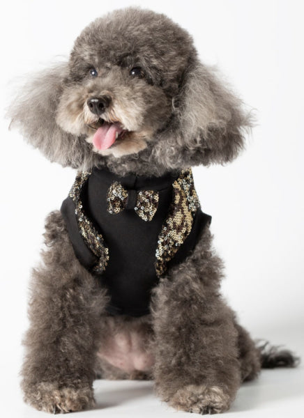 Dog Clothes - Pup & Co Boutique