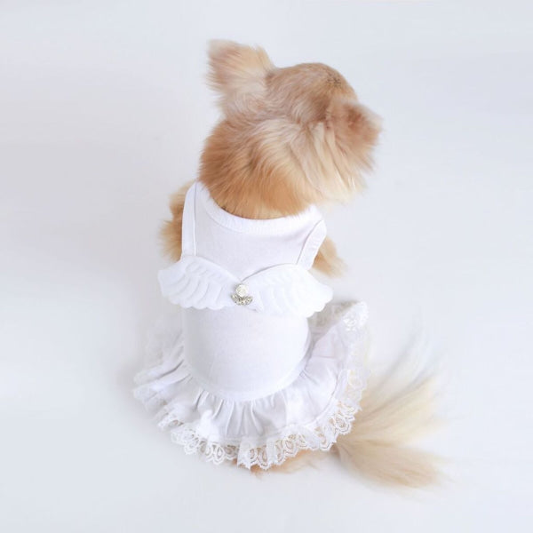 Dog Clothes - Pup & Co Boutique