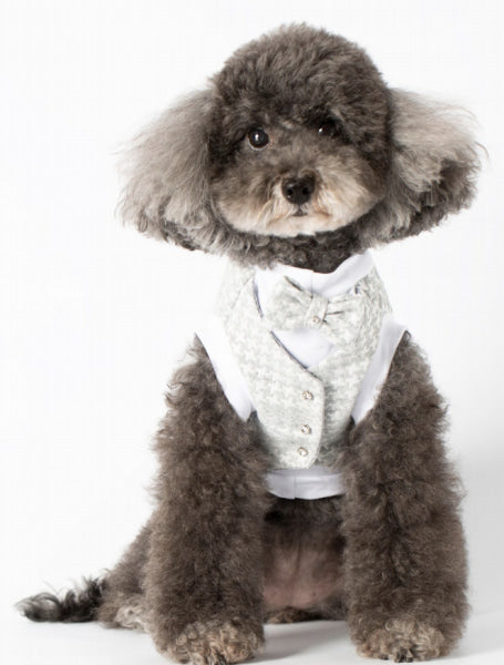 Dog Clothes - Pup & Co Boutique