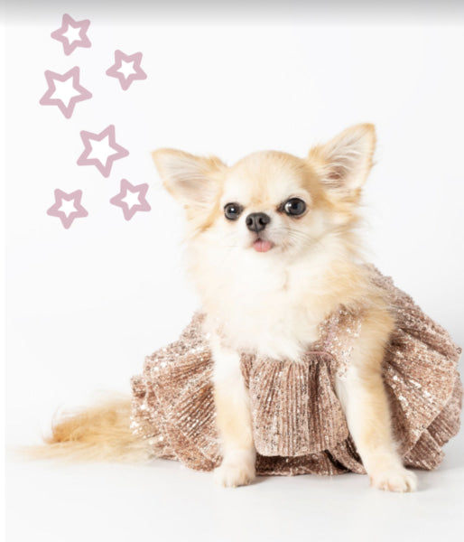 Dog Clothes - Pup & Co Boutique