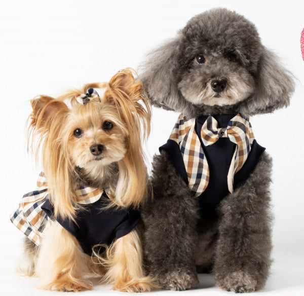 Dog Clothes - Pup & Co Boutique