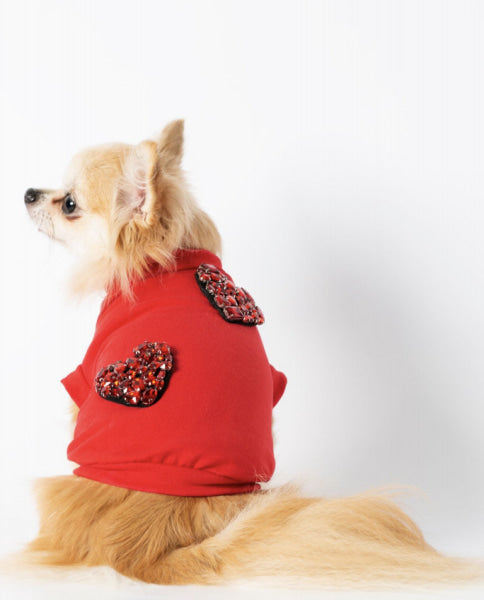 Dog Clothes - Pup & Co Boutique