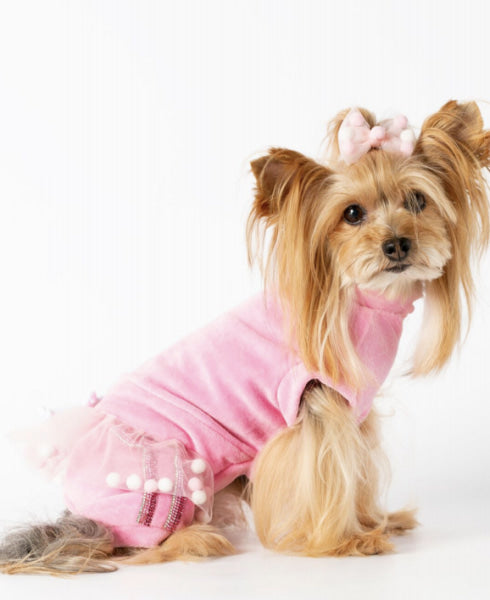 Dog Clothes - Pup & Co Boutique