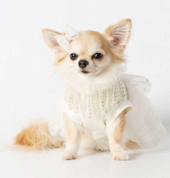 Dog Clothes - Pup & Co Boutique