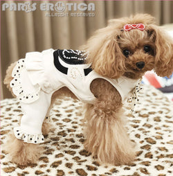 Dog Clothes - Pup & Co Boutique