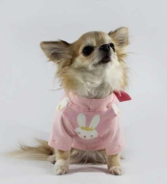 Dog Clothes - Pup & Co Boutique