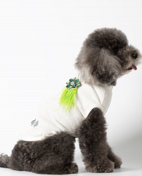 Dog Clothes - Pup & Co Boutique