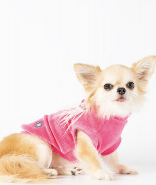 Dog Clothes - Pup & Co Boutique