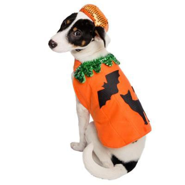 Pumpkin Dog Costume