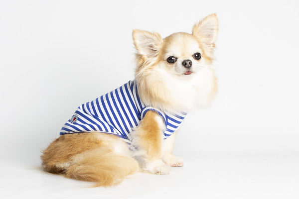 Dog Clothes - Pup & Co Boutique