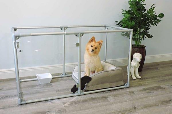 Small Lucidium Dog Pen 24 x 48