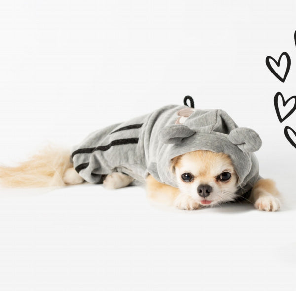 Dog Clothes - Pup & Co Boutique