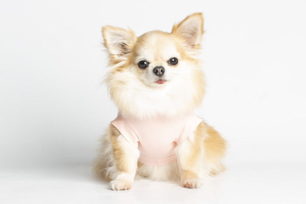 Dog Clothes - Pup & Co Boutique