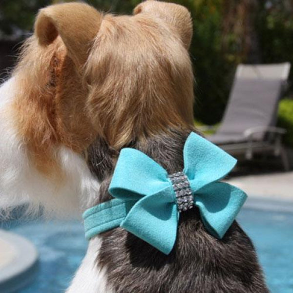 Dog Clothes - Pup & Co Boutique