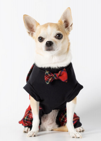 Dog Clothes - Pup & Co Boutique