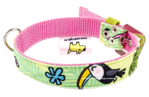 Toucan Green Dog Collar