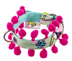 Toucan Pink Dog Collar