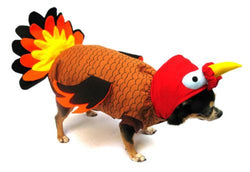 Turkey Dog Costume