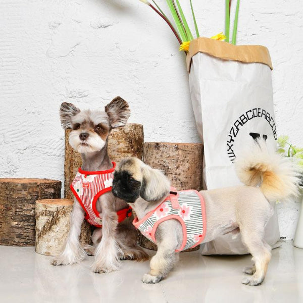 Dog Clothes - Pup & Co Boutique