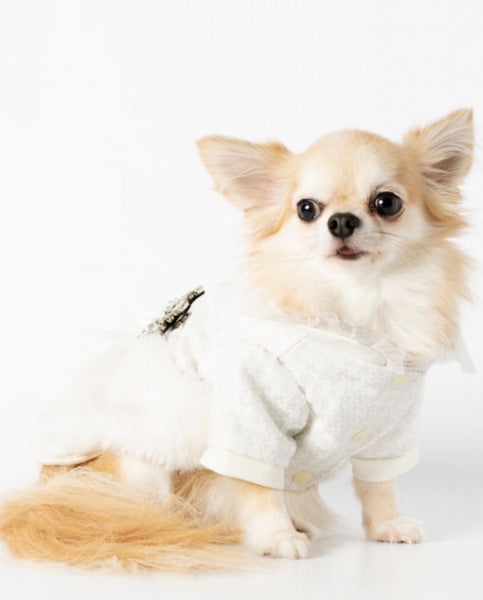 Dog Clothes - Pup & Co Boutique