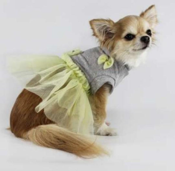 Dog Clothes - Pup & Co Boutique